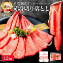 厳選 国産 牛肉 赤身 切り落とし 1.2kg モモ ランプ シンタマ も贅沢に 牛モモ肉 牛モモ 赤身肉 牛 しゃぶしゃぶ すき焼き 用 カレー用 牛丼用 お肉 肉 母の日 ギフト 内祝い お返し プレゼント 焼き肉 焼肉 食品 食べ物 小分け 冷凍 業務用 送料無料 メガ盛り 父の日