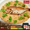 ほぐし飯の素 2種【 送料無料 】ほぐし 炊き込みご飯の素 ギフト セット 炊き込み ご飯 の 素 炊き込みご飯 ギフト 二合 鯛めし 鯛飯 混ぜご飯の素 混ぜ...
