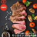 アメリカ産 熟成 サーロイン ステーキ (450g) 3枚セット【 熟成牛 牛肉 BBQ ステーキ肉 赤身 】 アウトレット 処分 サンプル 仕送り お弁当 子供 時短ごはん 単身赴任 食事 食べ物 業務用 おかず 家庭用 ギフト