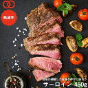 アメリカ産 熟成 サーロイン ステーキ (450g)【 熟成牛 牛肉 BBQ ステーキ肉 赤身 】 アウトレット 処分 サンプル 仕送り お弁当 子供 時短ごは...