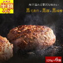 \期間限定 P5倍&半額クーポンで3,490円/【 送料無料 】黒毛和牛 × 黒豚 × 黒味噌 ハンバーグ 6個 ハンバーグ 冷凍 小分け 高級 肉 牛 簡単調...