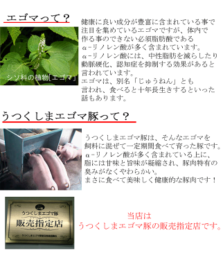 エゴマ脂がうまい♪普段と違う国産こま切れを！福島県産うつくしまエゴマ豚こま切れ 250g(真空パック)×2パック【小間切れ】【細切れ】【小分け】豚肉 切落とし 福島精肉店 ふくしまプライド