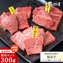 ★送料込★ A4等級 福島県産黒毛和牛 黒毛和牛 焼肉  高級部位焼肉3種盛りセット 福島精肉店 焼肉セット バーベキュー 牛肉 バーベキューセット 和牛 お花見 ふくしまプライド 