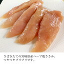 サラダチキン ササミ 500g 鹿児島県産 宮崎県産 銘柄鶏 ホワイトデー ひな祭り ささみ とり肉 鶏ささ身 九州 国産 お中元 お歳暮 鶏肉 ハーブ鶏 ハーブどり ハーブチキン 若鶏 お取寄せ 贈答用 ヘルシー ダイエット 新鮮 ギフトプレゼント カード レトルト食品 肉 2