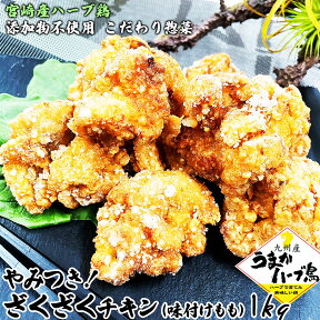 ＼ポイント15倍／ 無添加 からあげ 唐揚げ 冷凍 ざくざくチキン 唐揚 味付けモモ 1kg 国産 もも肉 母の日 お祝い ギフト 4千円 5千円 から揚げ 惣菜 惣菜セット 健康 食品 食べ物 冷凍食品 グルメ 人気 おかず 肉 惣菜 レトルト 和食 弁当 お中元