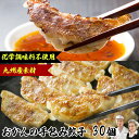 肉のやまだ屋 ぜんぶ九州産 手包み無添加餃子