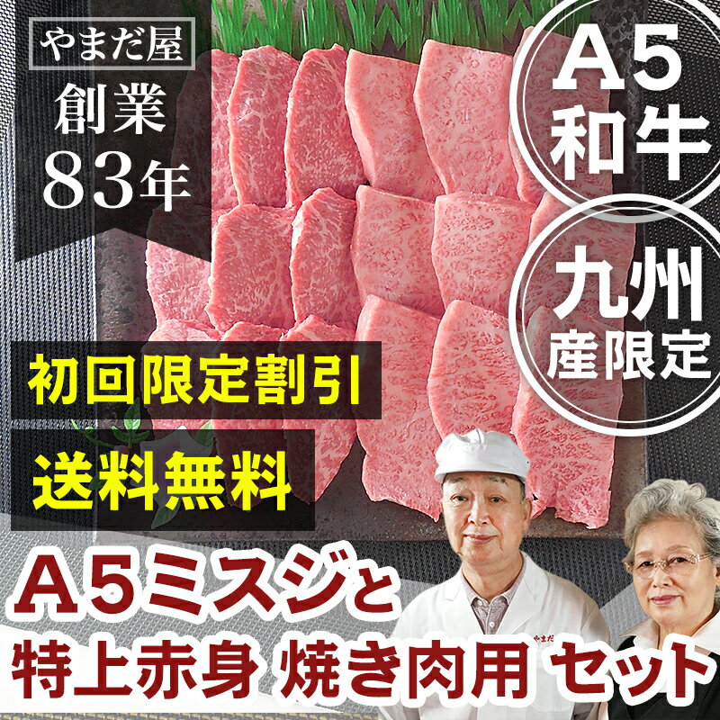 【初回限定 送料無料 15%OFF】 九州産 黒毛和牛(鹿児島/佐賀/長崎)A5 焼肉 2種セット(2-3人前) 黒毛和牛 霜降り ロース 焼肉 焼き肉 牛 牛肉 赤身 厚切り 国産 高級 ギフト 九州 グルメ セット バレンタイン 卒業