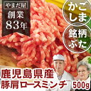 九州 鹿児島県産 はいからポーク 肩ロース ミンチ (250gx2) 500g ホワイトデー ひな祭り 卒業祝い 銘柄豚 ブランド豚 ぶた肉 豚肉 国産豚 ぶたにく 小分け お取寄せ ギフト ひき肉 挽肉 ハンバーグ プレゼント カードバーベキュー お中元 ご挨拶