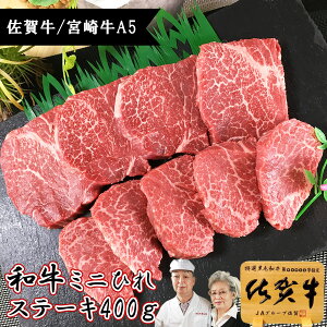 【 11/11まで！20%OFF】 最高級 A5 ミニ ひれステーキ 400g ふぃれ フィレステーキ ヒレ ステーキ 佐賀牛 宮崎牛 ごちそう お取り寄せグルメ ひれ ヘレ フィレ人気 黒毛和牛 和牛 赤身 ステーキ肉 牛 牛肉 訳あり 高級 肉 お祝