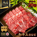 赤城牛上カルビ 焼肉 サンカクバラ 300g 2~3人前 送料無料 冷凍 希少部位 バーベキュー BBQ 焼き肉 お取り寄せ グルメ ギフト プレゼント 肉 牛肉 国産牛 霜降り 赤身 お中元 お歳暮 お誕生日 母の日 父の日 内祝い 贈答 贈り物