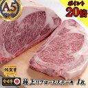 松阪牛 ＼2点で送料無料／ A5 和牛 【 リブロース ステーキ 佐賀牛 宮崎牛 1枚 250g 】 お祝い ギフト 内祝い 一万円 五千円 母の日 お返し 半返し プレゼント 食品 食べ物 グルメ 黒毛和牛 牛肉 松坂牛 肉 冷凍 近江牛 神戸牛 カード 高級肉 ランキング 人気