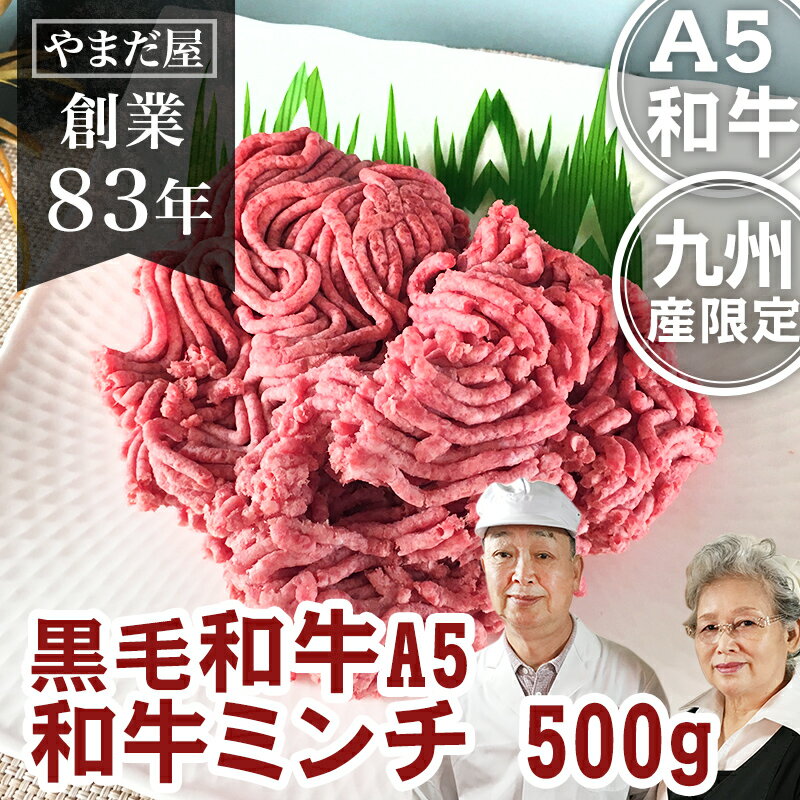 佐賀牛 宮崎牛 鹿児島黒牛 A4〜A5ランク 牛ミンチ 500g セール価格 九州産 国産牛 和牛 肉 5等級 4等級 黒毛和牛 ハンバーグ お取寄せ ギフト 贈答用 内祝い 安心 美味しい 高級和牛 グルメ 贈り物 お肉 挽肉 ひき肉 挽き肉 おうちごはん