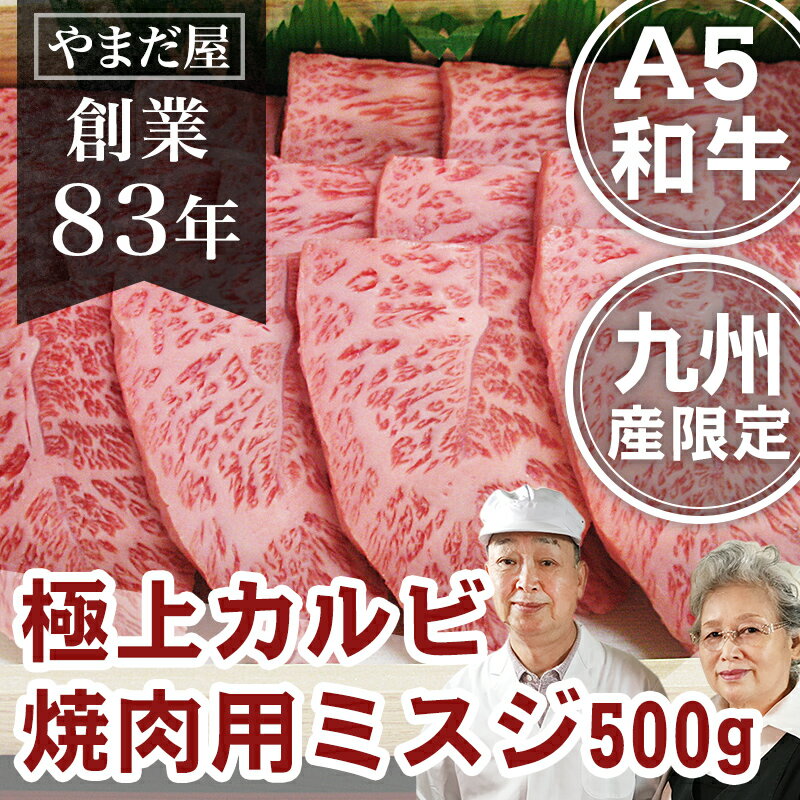 【初回限定 送料無料 10%OFF】九州産 A5 ミスジ 500g ホワイトデー 佐賀牛 焼肉 ギフト 肉 高級 喪中 のし 挨拶 粗品…