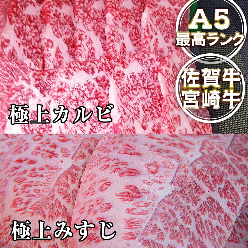 佐賀牛 宮崎牛 A5 極上カルビ ミスジ みすじ 500g 黒毛和牛 和牛 霜降り ロース ひとり 焼肉 焼き肉 牛 牛肉 ロース 厚切り 国産 高級 肉 ギフト 食品 グルメ お取り寄せ プレゼント 食品 年配 贈答 バレンタイン 卒業 お祝い格安通販　バレンタイン　人気　ランキング