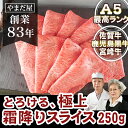 宮崎牛 佐賀牛 宮崎牛 A5 極上 霜降りスライス 250g ホワイトデー ひな祭り 送料無料 ギフト 肉 牛肉 高級 喪中 のし 挨拶 粗品 名入れ 福岡 ご挨拶 黒毛和牛 和牛 牛肉 すきやき肉 極上 牛 送料無料 高級ギフト 鍋 すき焼き お中元 お歳暮 送料無料 焼くだけ 小分け