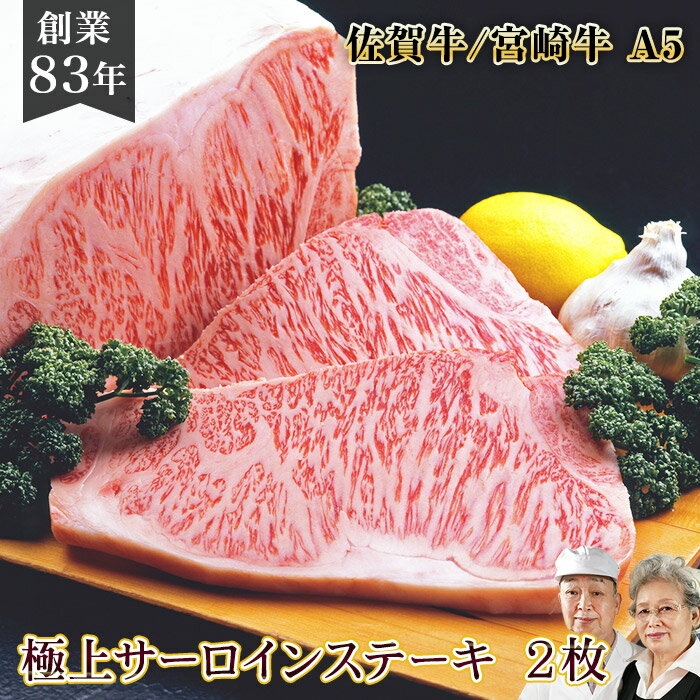 飛騨牛 牛 国産 和牛 A5 【 サーロイン ステーキ 2枚 佐賀牛 宮崎牛 400g】高級肉 牛肉 黒毛和牛 ステーキ肉 ギフト お祝い 引っ越し 祝い グリル 松坂牛 肉 冷凍 近江牛 飛騨牛 神戸牛 プレゼント ブランド牛 焼肉 高級 お返し 五千円 お中元