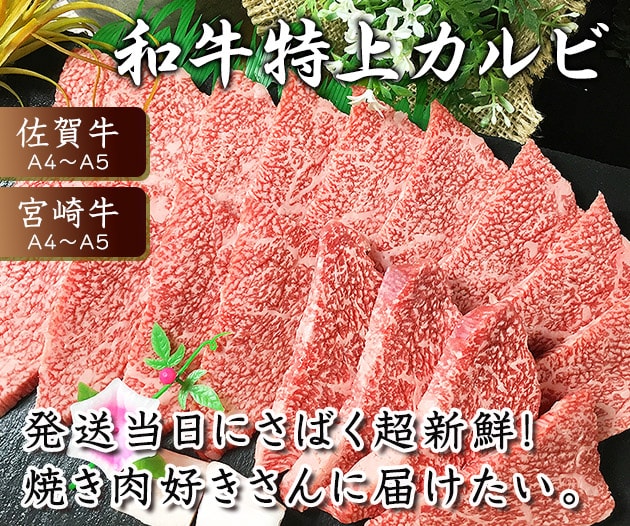 【ポイント20倍】 佐賀牛 宮崎牛 A5 特上カルビ 700g 黒毛和牛 和牛 霜降り ロース バラ ひとり 焼肉 焼き肉 牛 牛肉 国産 高級 肉 お肉 ギフト 九州 食品 グルメ お取り寄せ 贈答 美味しい 人気 送料無料 バレンタイン 卒業 お祝い格安通販　バレンタイン　人気　ランキング