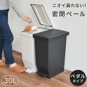 エバン密閉ペダルペール30L 密閉パッキン付きゴミ箱 ゴミ箱 分別 スリム ペダル おしゃれ キッチン ふた付き 縦型 大容量 密閉 ワゴン 30リットル 30l ダストボックス リビング ごみ箱 新生活 アスベル ASVEL