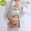 フレッシュロック FRESHLOK 角型 4.0L タケヤ TAKEYA 保存容器 食品 プラスチック 密閉 プラスチック保存容器 ストッカー キャニスター コーヒー 塩 砂糖 お菓子