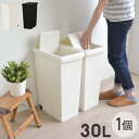 スライドペール ゴミ箱【30L】ふた付き キャスター付き スリム プラスチック ダストボックス キッチンペール リビング 角型 縦型 分別ゴミ箱 フタ 蓋 付き おしゃれ シンプル オフホワイト ブラック 白 黒 モノトーン kd2