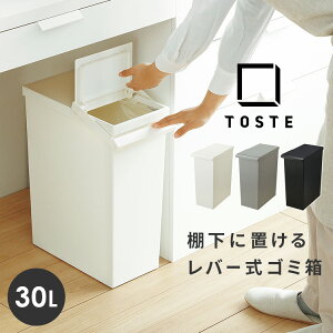 ゴミ箱 おしゃれ 分別 リス TOSTE トステ レバーオープン 30L キャスター付きゴミ箱 キッチン シンプル 白 黒 ふた付き キャスター スリム リビング オフィス 棚下 机 ダストボックス 30リットル 約幅20cm ごみばこ 日本 インテリア雑貨 北欧 ホワイト グレー ブラック