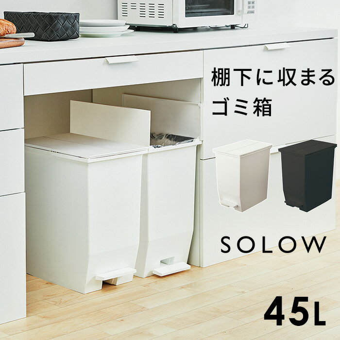 SOLOW ソロウ 45L ペダルオープンツイン キッチンカウンター 棚下 ゴミ箱 スリム ペダル式 ごみ箱 両開き 観音開き ふた付き フタ キャスター付き 分別 ダストボックス 抗菌 ペダルペール おしゃれ シンプル ホワイト ブラック 45リットル リス RISU GSLW005 GSLW006 kd2