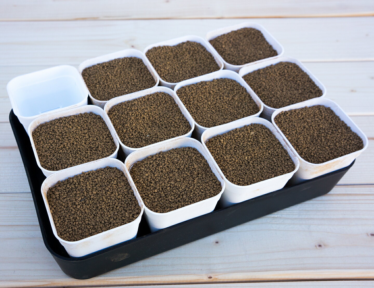 種まきトレー 75タイプ 12鉢 培養土 緩効性肥料 入 表土付 多肉植物 観葉植物 飼育セット 多肉植物鉢セ..