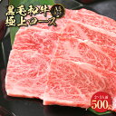 A5ランク黒毛和牛特上焼肉ロース500g