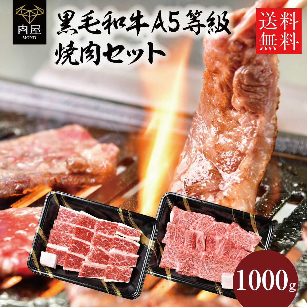 お中元 御中元 2022 肉 焼肉 焼肉セット 国産 黒毛和牛 牛肉 焼き肉 福袋 A5等級 カルビ　ロース セット 1000g 内祝い プレゼント 牛肉 焼肉 黒毛和牛 赤身焼肉 牛 肉和牛 送料無料 高級 ギフト