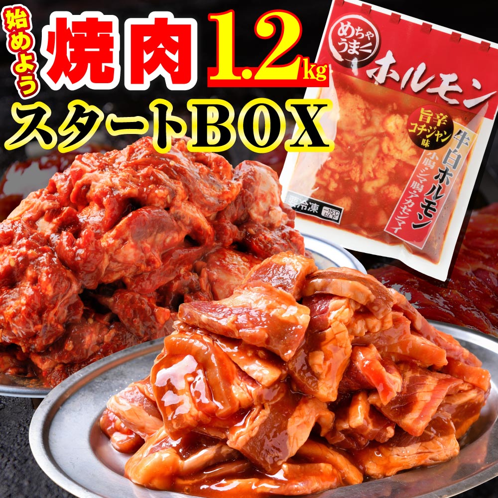 【お中元 ギフト】 牛肉 豚肉 焼肉セット 味付き カルビ 豚ハラミ ホルモン 1.2kg 送料無料 BBQ アウトドア キャンプ 焼き肉のサムネイル