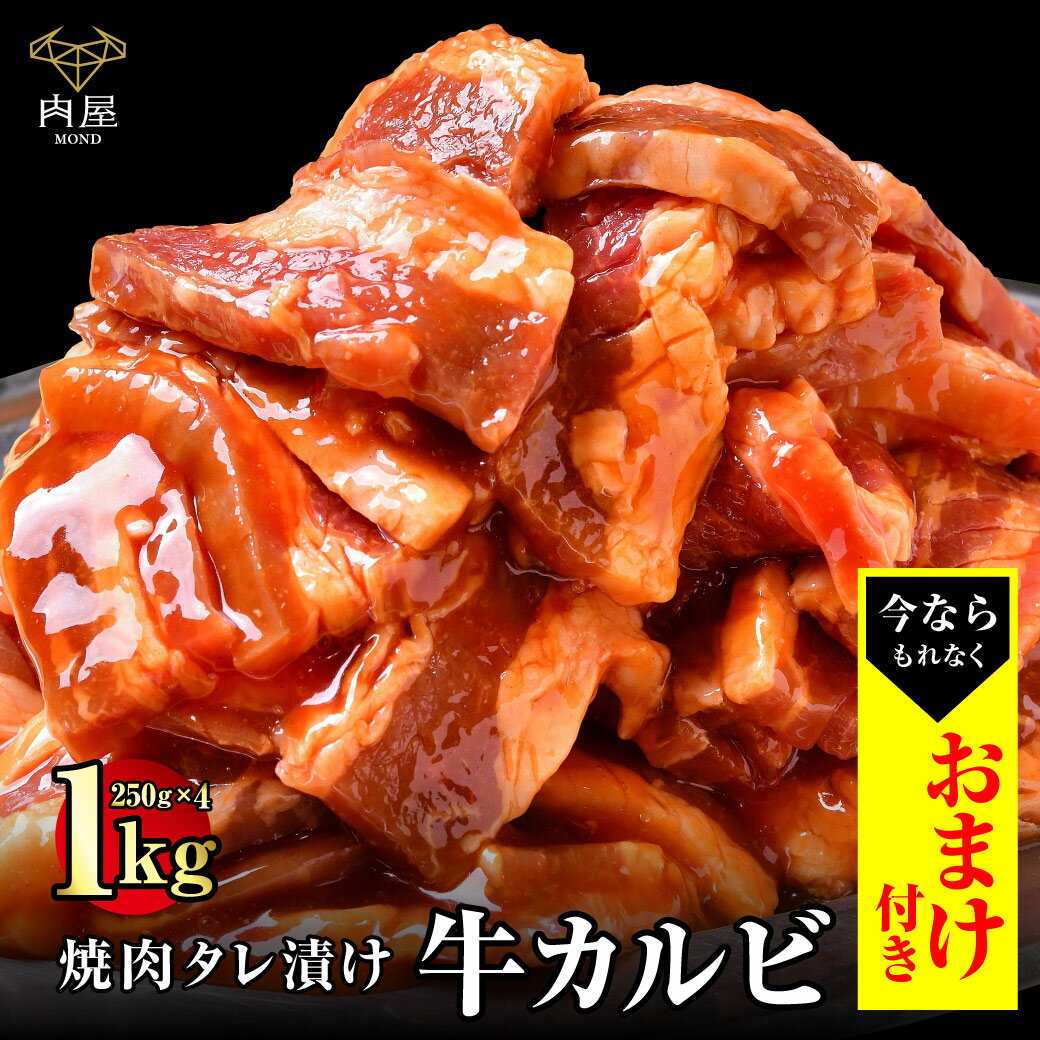 肉セット ＼もれなく／【おまけ付】肉 牛肉 焼肉 焼き肉 焼き肉セット 送料無料 焼肉 カルビ タレ漬け 1000g(250g×4パック) 焼肉プレート 焼肉グリル 内祝い 冷凍 プレゼント 冷凍食品 BBQ バーベキュー 送料無料 高級 ギフト 人気 おすすめ