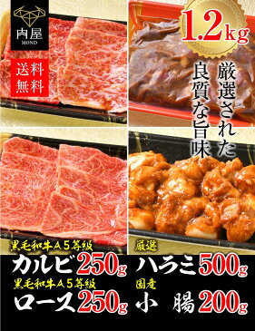 大満足！豪華焼肉セット！黒毛和牛A5等級カルビ250g・黒毛和牛A5等級ロース250g・厳選ハラミ500g・国産小腸200g お歳暮 お歳暮ギフト 御歳暮 内祝い 御歳暮ギフト ギフト プレゼント 牛肉 焼肉 黒毛和牛焼肉セット 黒毛和牛 赤身焼肉 牛 肉和牛