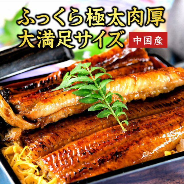 うなぎ蒲焼き & 馬刺し300g 特大うなぎ 鰻 蒲焼き 1尾 250g 前後 (タレ 山椒 付) 国産馬刺し 馬刺し 馬肉 馬刺し醤油付き 送料無料 お..