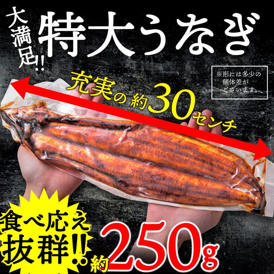特大うなぎ 蒲焼き 1尾 250g 前後 (タレ 山椒 付) お取り寄せグルメ ギフト 贈り物 通販 冷凍食品