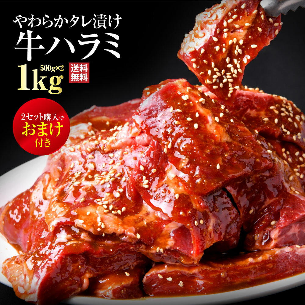 ＼お試し／【2セット購入でおまけ付】肉 牛肉 焼肉 焼き肉 メガ盛り 1kg 和牛ハラミ タレ漬け 味付け 牛ハラミ 柔らかい 味付け肉 味付き肉 ホルモン焼き 小腸 ホルモン 牛 シマチョウ アカセンマイ おうち焼肉セット お肉セット 冷凍 BBQ 焼き肉セット 1キロ 父の日ギフト