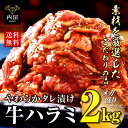 肉 牛肉 焼肉 焼き肉 メガ盛り 柔らかハラミ タレ漬け メガ盛り 2kg 冷凍 食品 焼肉 BBQ お肉 牛 焼き肉 バーベキュー BBQ 送料無料 タレ 味付き 焼肉 焼き肉セット 訳あり はらみ 2キロ 以上 ホルモン 冷凍 送料無料 プレゼント 父の日