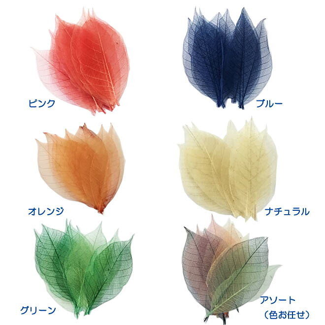 ミニ・スケルトンリーフ ドライフラワー 葉 花材 素材 材料 花 パーツ アレンジメ...