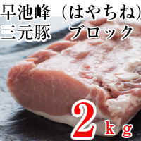 【ふるさと納税】【6回定期便】豚帝 豚ロース スライス 600g（300g×2pc）【KRAZY MEAT(小田畜産)】[ZCP076]