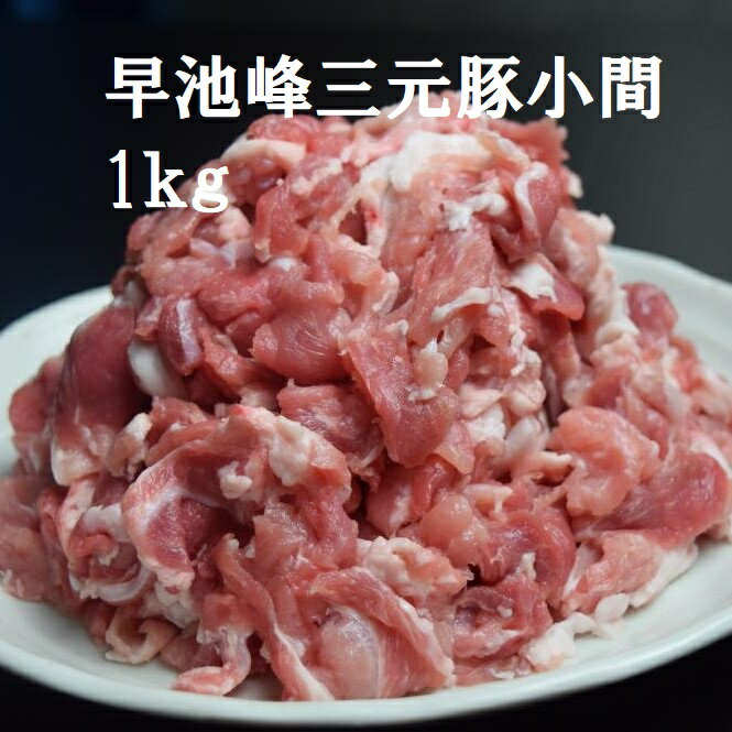 【ふるさと納税】定期便 年12回 熊本県産 甘み溢れる モンヴェールポーク こま切れ 4kg 豚肉 国産 九州産 冷凍 送料無料