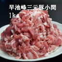 肉巻きおにぎり(おむすび/ポークライスロール/肉巻きドッグ/肉巻きロール)120g×20 冷凍 学園祭 学祭 模擬店 文化祭 お祭り バザー 屋台 キャンプ飯の食材 冷凍 業務用 惣菜 宮崎 九州 ご当地グルメ 国産 ポークライスロール 食品　個包装 真空パック