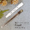 田中箸店 箸 箸箱 セット Fossil プテラノドン 18cmメール便対応 食洗機対応 お箸 箸箱セット 箸入れ 携帯箸 箸箱 かっこいい おしゃれ ハーフ ...