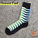 11月当店限定クーポン メンズ ソックス 柄 ストライプ 派手 面白い おもしろ 靴下 SOCKS カジュアル 個性的 変 プレゼント お祝い ネタ お笑い 一...