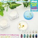 お一人様2つまで クロムパウダー オーロラ ヴェール ウェディング ネイル | ホワイト ハンドメイド ウエディング UVレジン クロムパウダー 手芸 レジン ...