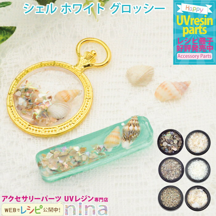 ＼クーポン配布中／ シェル ホワイト グロッシー ネイル レジン ｜ 封入 手芸 デコパーツ レジン シェル アクセサリー 材料 グロッシー 素材 カラー 貝殻 かわいい レシピ 手作り ネイル ハンドメイド UVレジン きれい アレンジ 大人