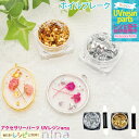 ＼クーポン配布中／ ホイルフレーク ネイル レジン チップブラシ付き ｜ 金箔風 レジン ゴールド アクセサリー ホイルフレーク 材料 素材 金 デコ デコ ネイル 美しい 手作り ハンドメイド 封入 UVレジン 手芸 ネックレス ピアス おしゃれ