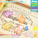 お一人様2つまで シェルビーズ サマー アクセサリー 10個セット | 夏 UVレジン サマー 手芸 シェルビーズ レジン アクセサリー オレンジ 材料 キーホ...