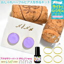 お一人様2つまで おしゃれパープルピアス を作るキット | パープル ハンドメイド 着色剤 UVレジン レジン枠 手芸 レジン 丸型 アクセサリー ピアス 材料...