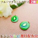 お一人様2つまで フルーツチャーム キュウイ 2個セット | フルーツチャームが可愛いアクセサリーに! / フルーツチャーム キュウイ ゴールド 金 ネックレス...