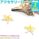【3セット】 ひとで マリンパーツ 2個セット | ひとでパーツも可愛い! / ひとで マリンパーツ スターフィッシュ 夏 デコ クラフト ハンドメイド 材料 ...