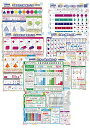 LearnEASY 小学生 1枚でわかる 算数ポスター 5枚セット 割合 分数の計算 平面図形 立体図形 大きい数 中学受験 大きい A2サイズ プチバイリンガル (1 2 3 4 5)